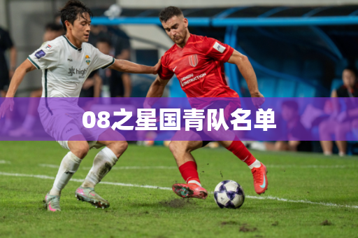 08之星国青队名单