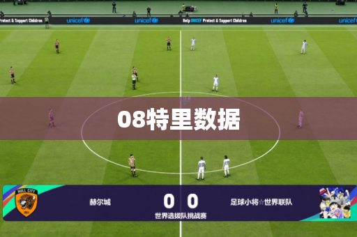 08特里数据