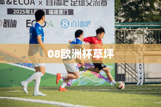 08欧洲杯草坪 08欧洲杯草坪