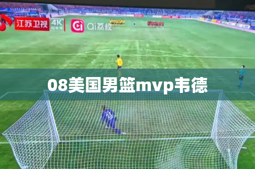08美国男篮mvp韦德