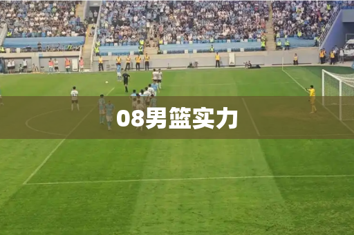 08男篮实力