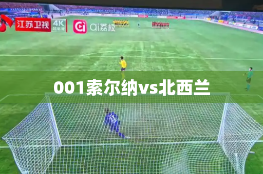 001索尔纳vs北西兰
