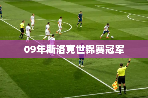 09年斯洛克世锦赛冠军