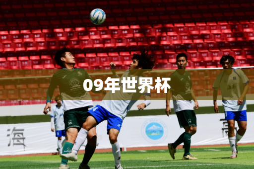 09年世界杯