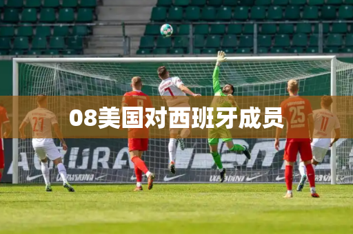 08美国对西班牙成员
