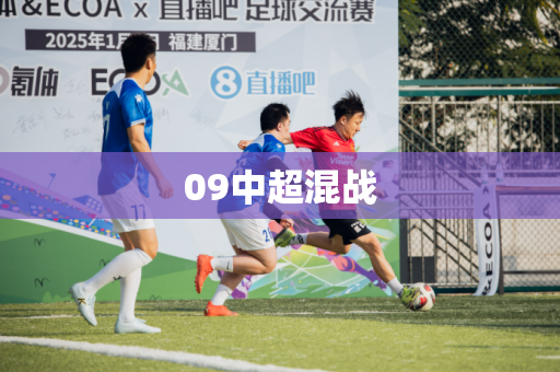 09中超混战 09中超混战