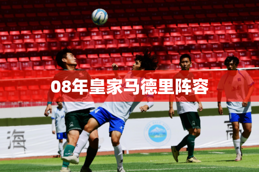 08年皇家马德里阵容
