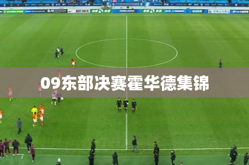 09东部决赛霍华德集锦