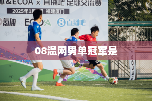 08温网男单冠军是