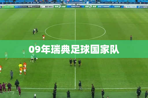 09年瑞典足球国家队