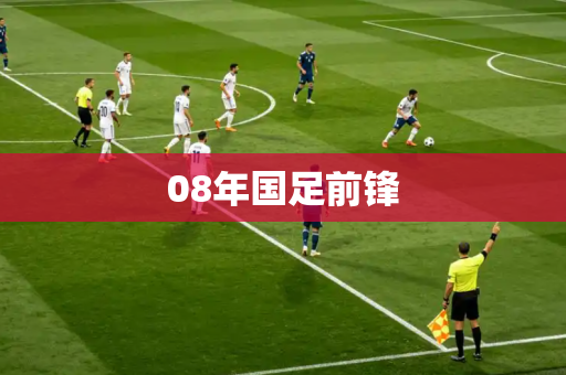 08年国足前锋