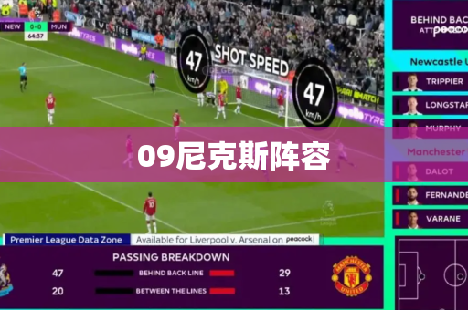 09尼克斯阵容