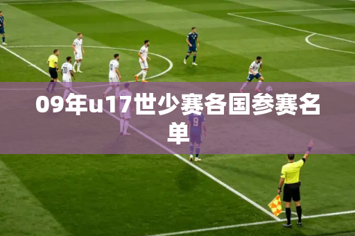 09年u17世少赛各国参赛名单