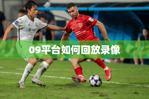 09平台如何回放录像