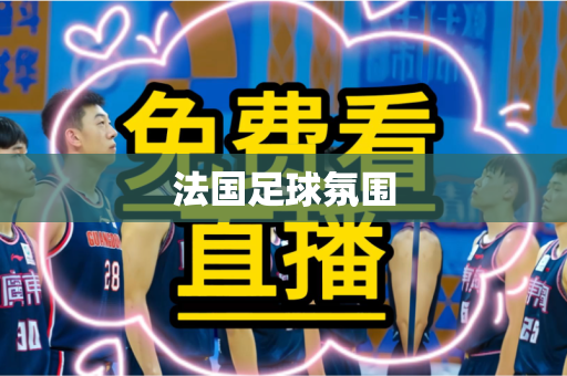 法国足球氛围 法国足球氛围