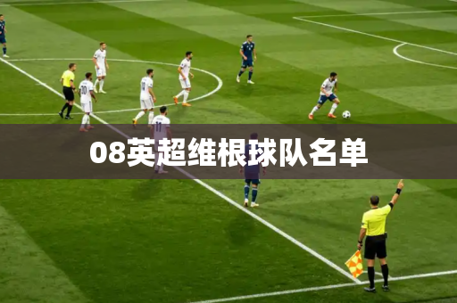08英超维根球队名单