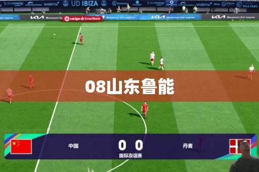 08山东鲁能