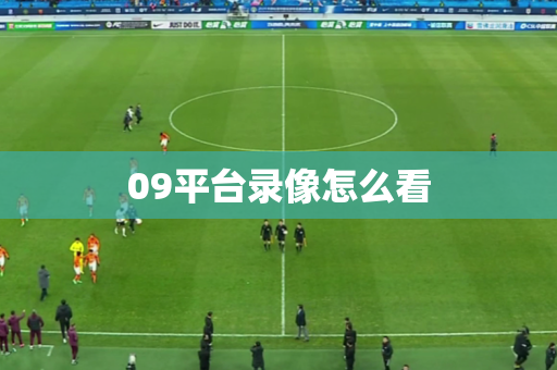 09平台录像怎么看