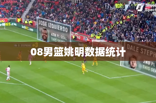 08男篮姚明数据统计