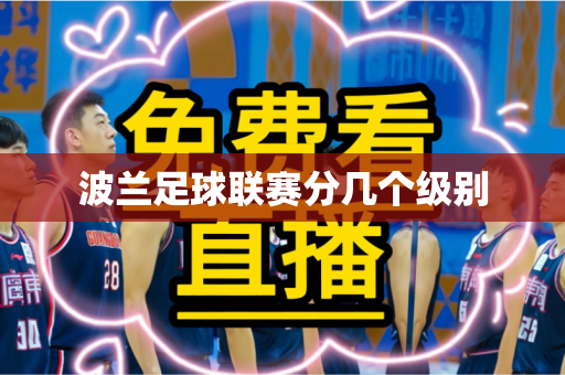 波兰足球联赛分几个级别 波兰足球联赛分几个级别