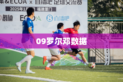 09罗尔邓数据