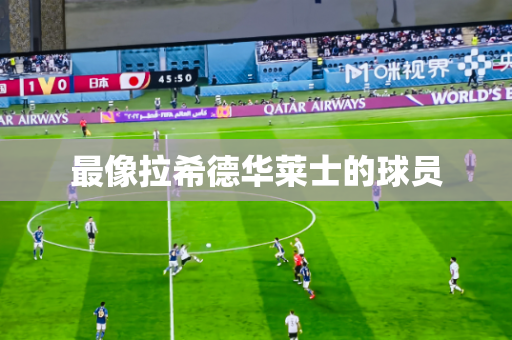 最像拉希德华莱士的球员