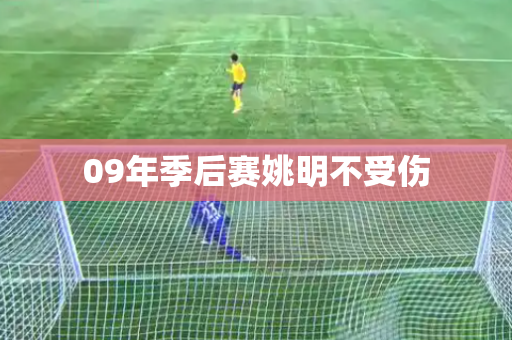09年季后赛姚明不受伤