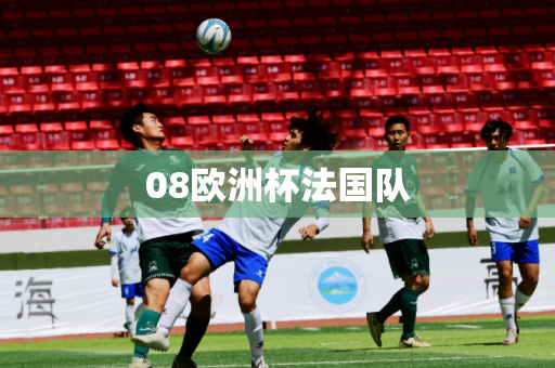 08欧洲杯法国队