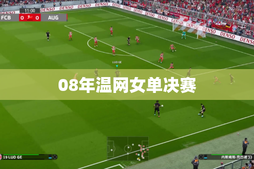 08年温网女单决赛