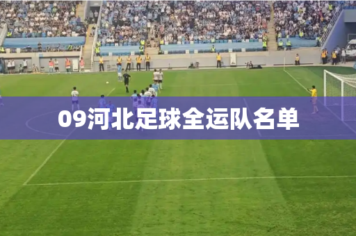 09河北足球全运队名单