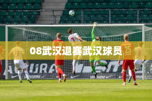 08武汉退赛武汉球员