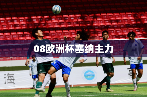 08欧洲杯塞纳主力