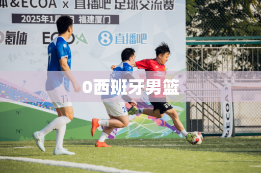0西班牙男篮