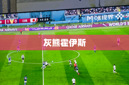 灰熊霍伊斯 灰熊霍伊斯