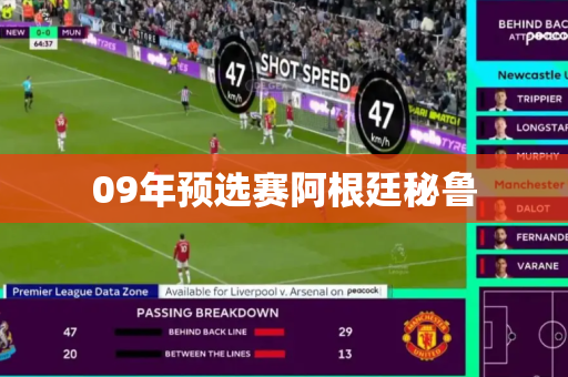 09年预选赛阿根廷秘鲁