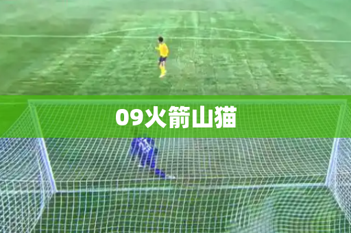 09火箭山猫