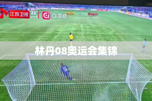 林丹08奥运会集锦 林丹08奥运会集锦
