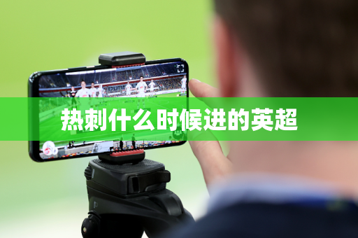 热刺什么时候进的英超