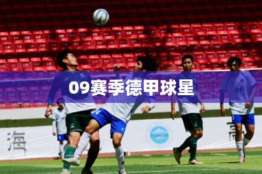 09赛季德甲球星 09赛季德甲球星