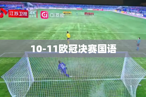 10-11欧冠决赛国语