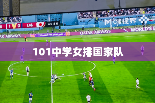 101中学女排国家队