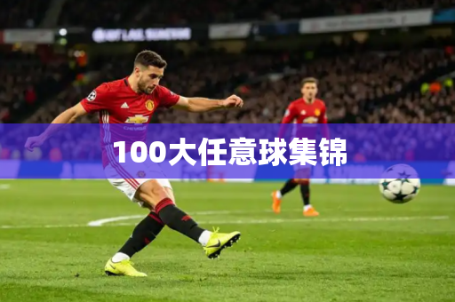 100大任意球集锦
