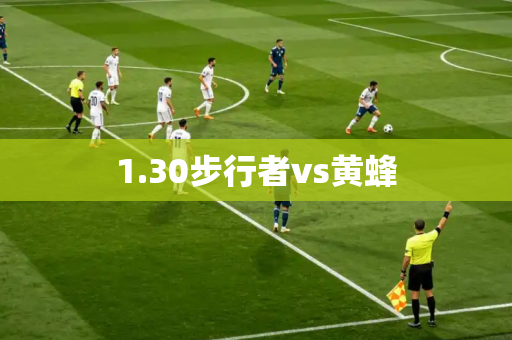 1.30步行者vs黄蜂