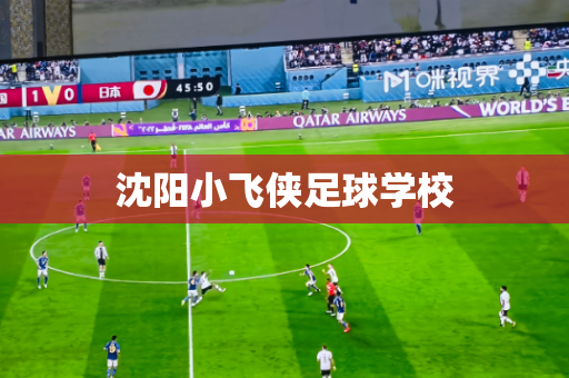 沈阳小飞侠足球学校