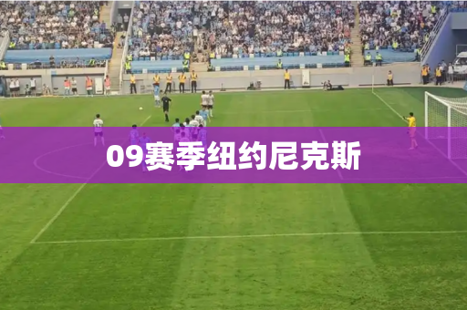 09赛季纽约尼克斯
