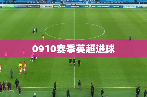 0910赛季英超进球