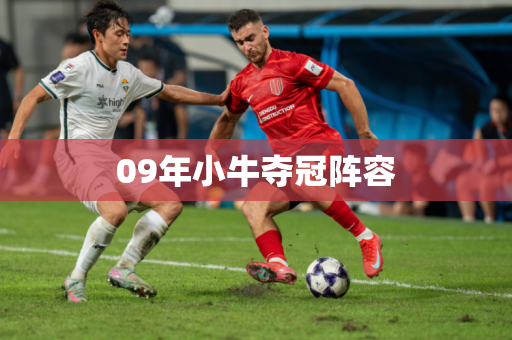 09年小牛夺冠阵容