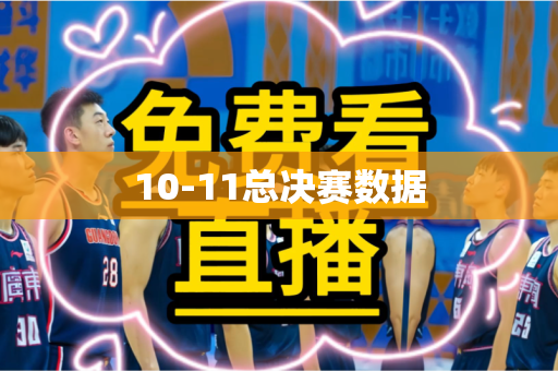 10-11总决赛数据