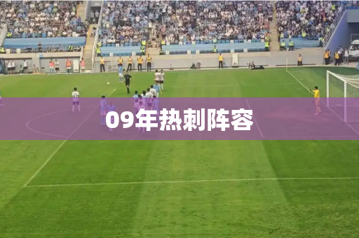 09年热刺阵容 09年热刺阵容