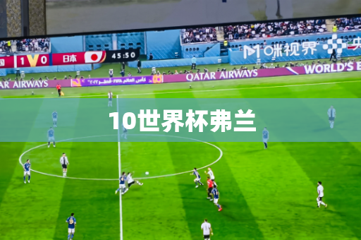 10世界杯弗兰